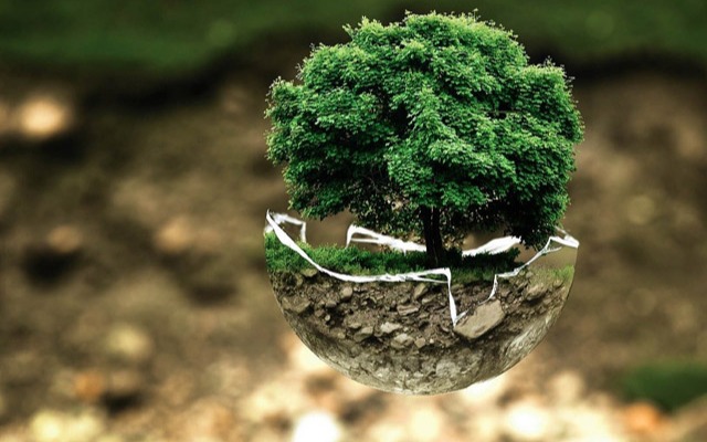 Sugerencias para diseñar un programa de viajes más verde