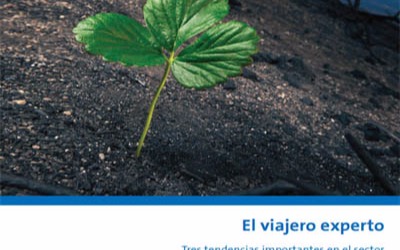 The Expert Traveler_Amadeus